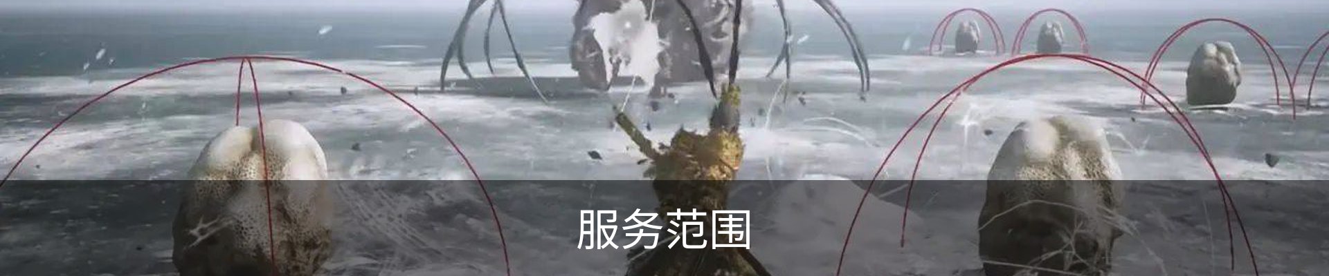 服务范围